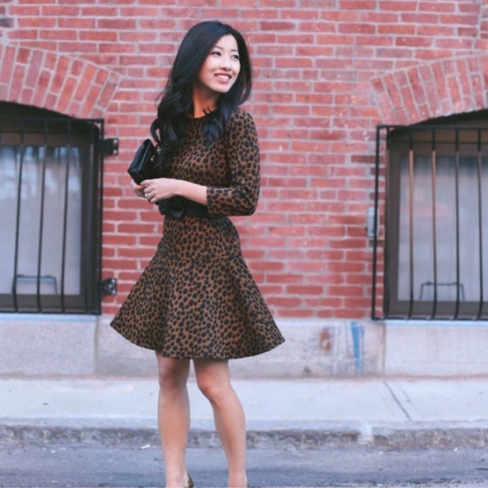 Ann Taylor LOFT Drop Waist Leopard Animal Print Dress Women’s Small